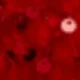 Merah