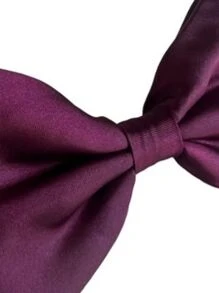 Ties - Purple - View 3