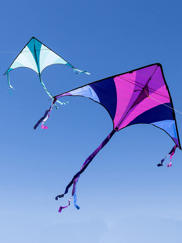 JOYIN 2 Packs Large Triangular Kite Blue and Purpler Outdoor Games
