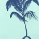 Verde Menta