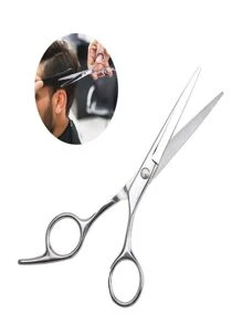Tesoura de Cabelereiro Clássico de Aço Inoxidável