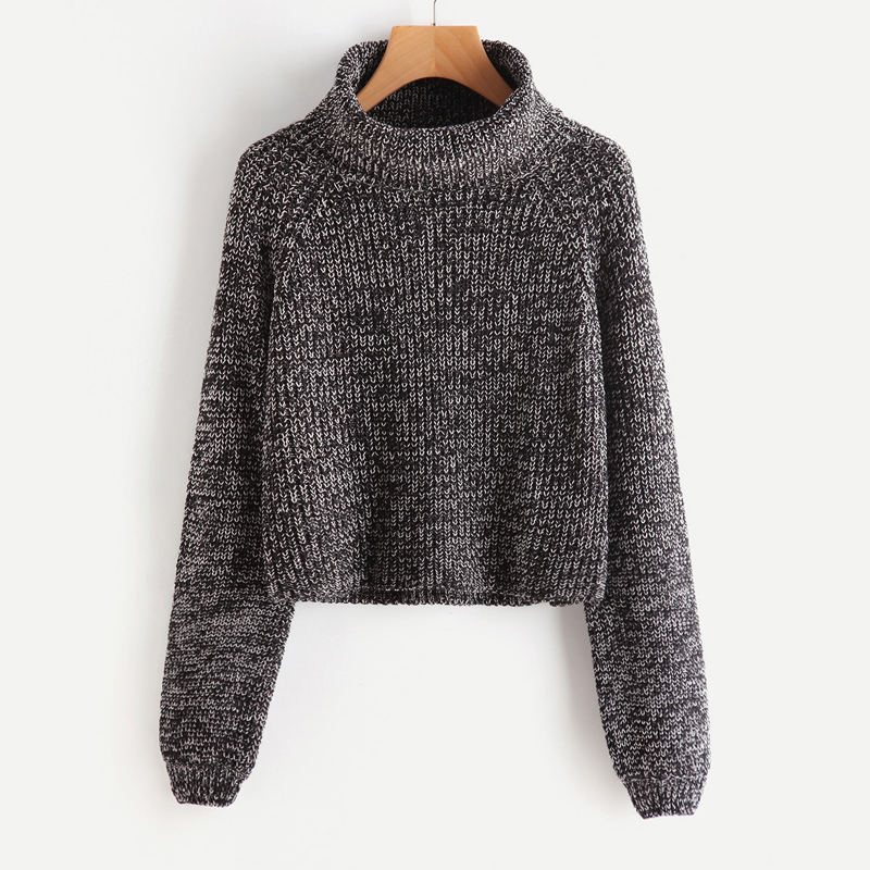 

Roll Neck Raglan Sleeve Marled Knit Sweater, Grey