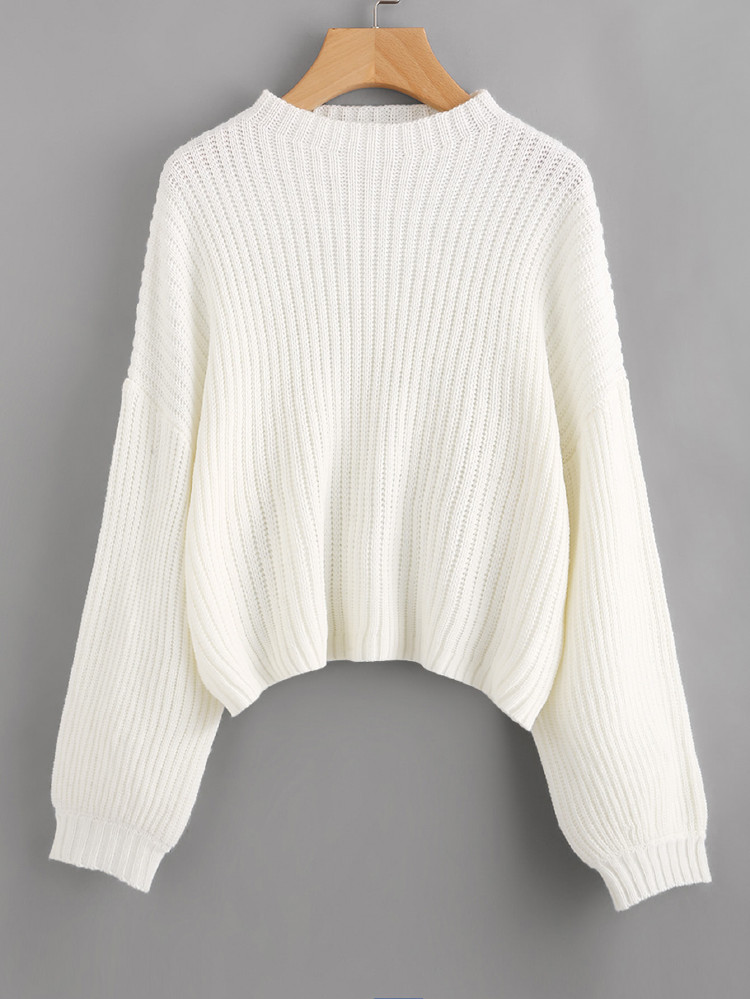 Solid Raglan Sleeve Rib-knit Sweater