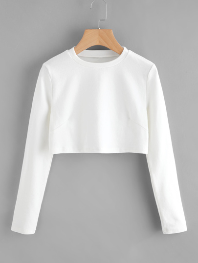Crew Neck Crop Tshirt