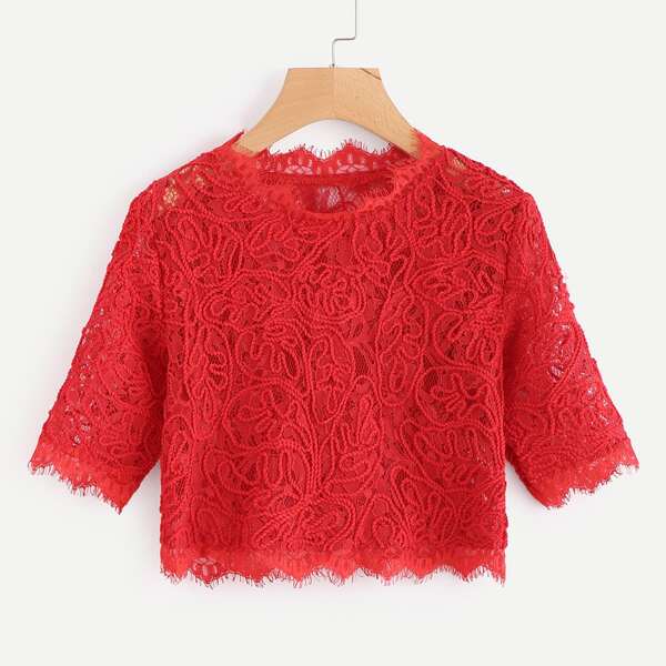 

Hollow Out Eyelash Lace Crop Top