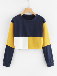 Cut And Sew Crop Sweatshirt