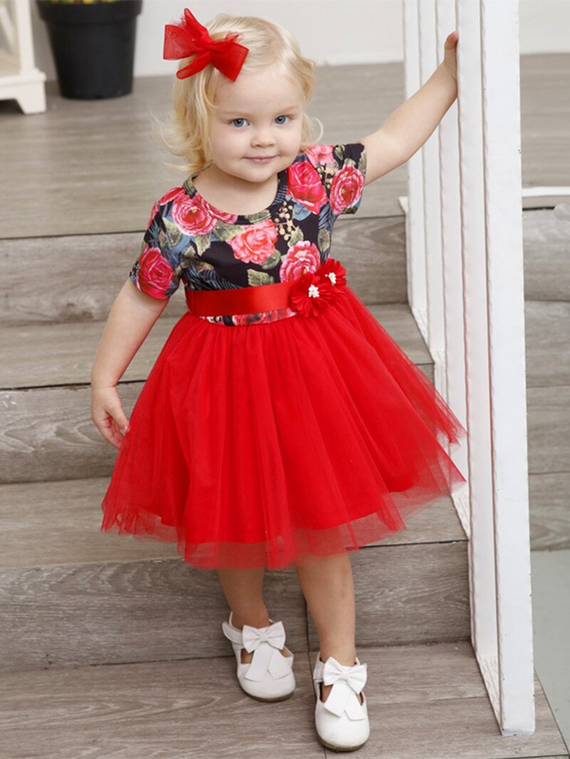 

Girls Floral Contrast Mesh Ball Gown Dress, Multicolor