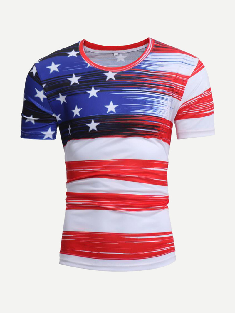 

Men Striped Flag Print Tee, Multicolor