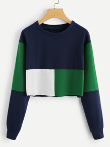 Colorblock Crop Sweatshirt