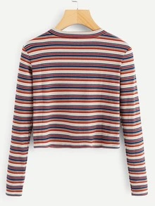 Striped Rib Knit Crop Tee - Multicolor - View 2