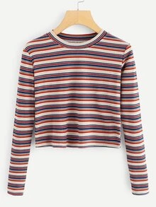Striped Rib Knit Crop Tee - Multicolor - View 1