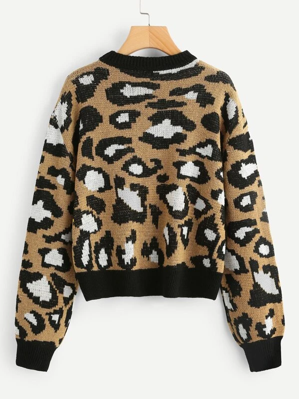Shein leopard print jumper Clearance