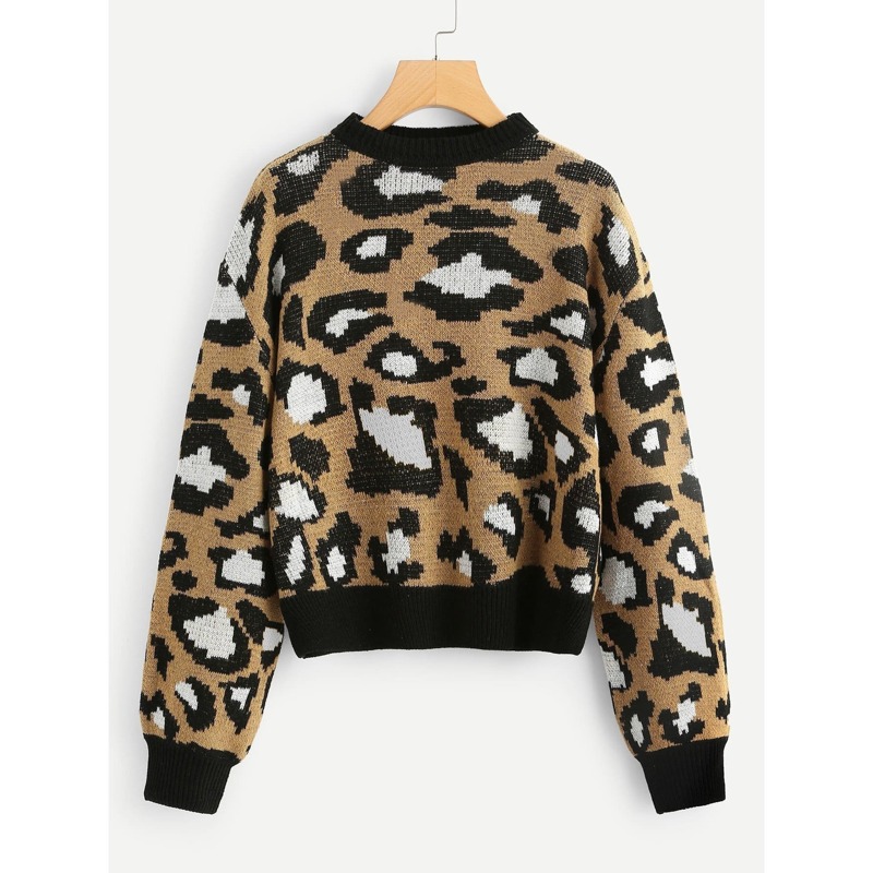

Leopard Print Sweater, Multicolor