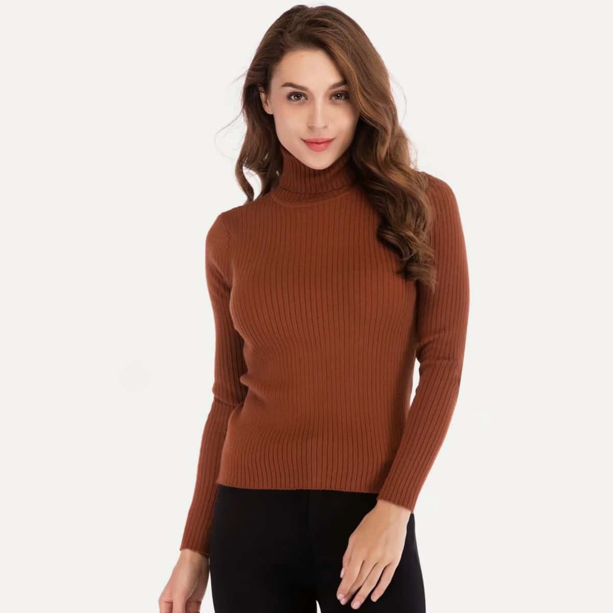 

Solid Turtleneck Ribbed Jumper, Brown