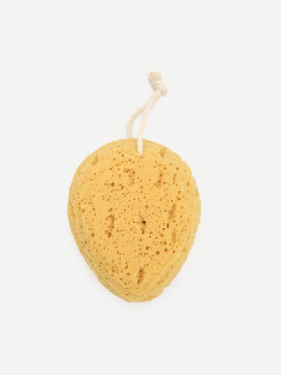 porous bath sponge