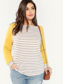 Plus Raglan Sleeve Striped Tee