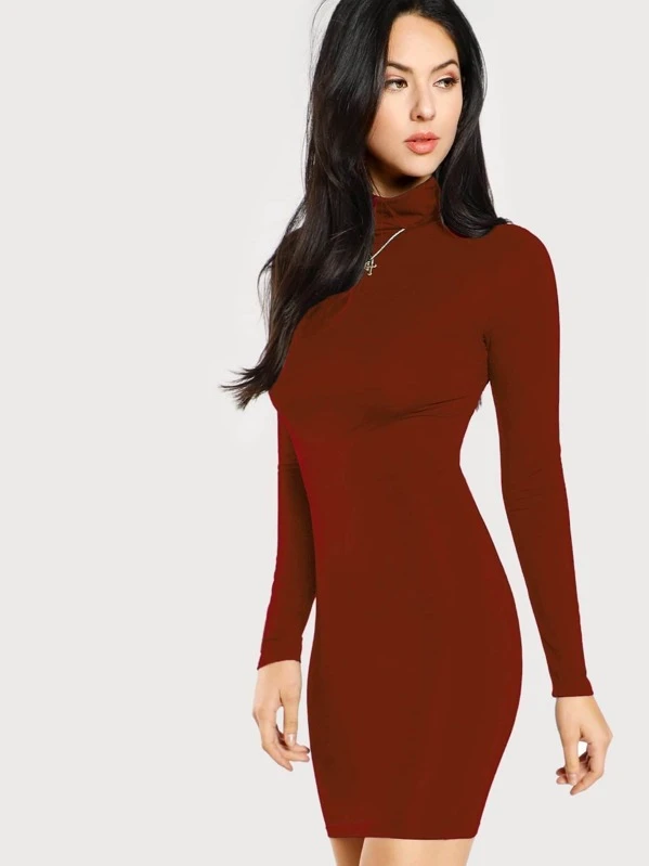 SHEIN Enges Kleid mit Rollkragen | aktuelle Trends, günstig kaufen | SHEIN  Deutschland