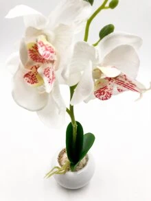 人造盆栽花卉 - 淡紫色 - 查看 3
