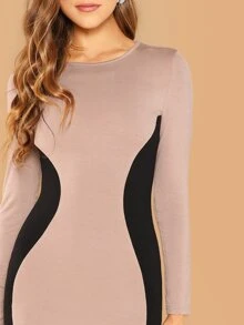 SHEIN Privé Contrast Panel Pencil Dress