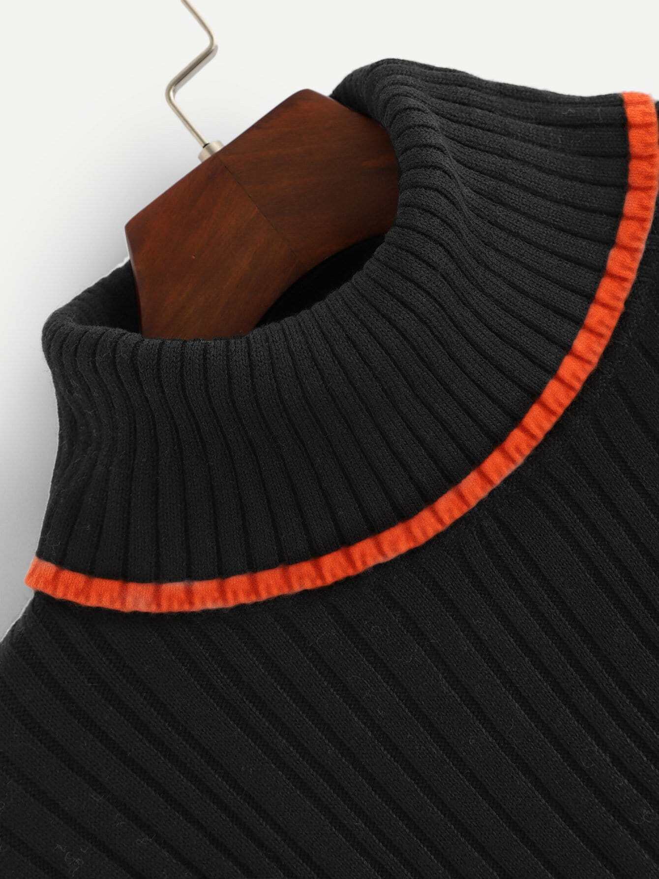 turtle neck rib knit striped jumper