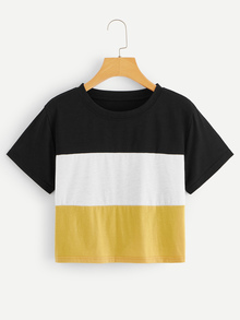 Cut And Sew Crop Tee