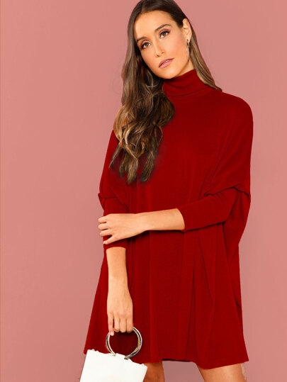 Turtle Neck Dolman Sleeve Boxy Dress pictures