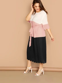 SHEIN Vestido de color block con cinturón ribete en abanico-grande - Multicolor - Ver 3