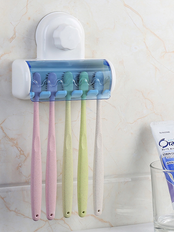 Wall Mounted Toothbrush Holder
