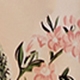 彩色