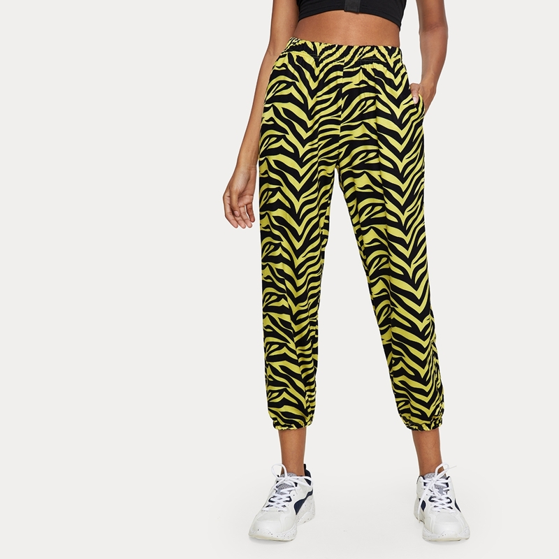 

Elastic Waist Zebra Stripe Pants, Multicolor