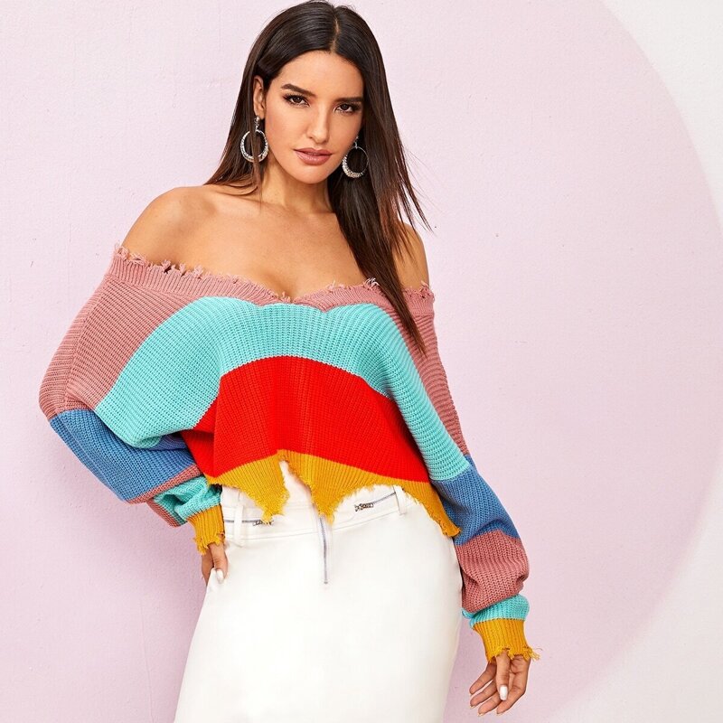 

Cut and Sew Ripped Trim Sweater, Multicolor