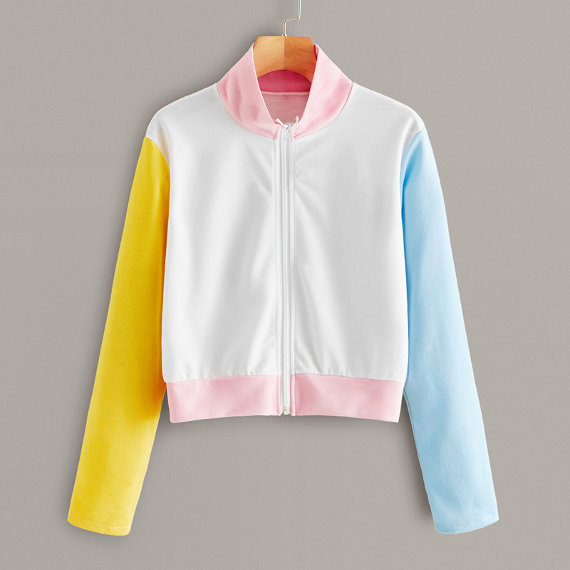 

Color-block Stand Collar Zip-up Sweatshirt, White