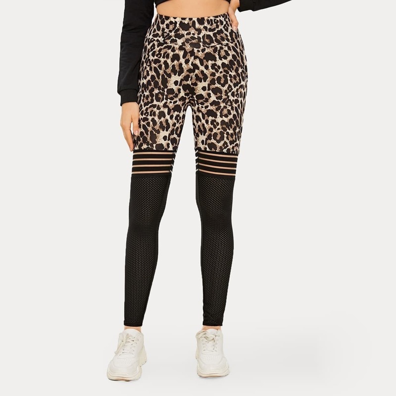 

Leopard Print Contrast Fishnet Panel Leggings, Multicolor