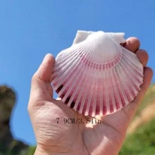 Christmas Natural Large Shell Purple Fan Shell Aquarium Landscaping Decor Mediterranean Style Home Ornament Landscape Home Decorations, Home Decoration Accessories Home Decoration Ornaments, Living Room Decoration Ornaments, Holiday Decorations, Wall Stickers Decorations - Multicolor - View 2