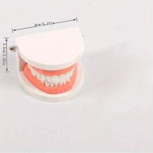 Intelligence Brushing Tooth Teaching Aids Simulated Practical Life Teaching Aids Tooth Practice Life Skill Toys - Multicolor - View 7