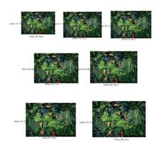 Tela de fondo con diseño de hoja verde de selva para decoración de boda de verano, fiesta de cumpleaños, sesión de fotos de recién nacidos, decoración interior, tapiz, Navidad - multicolor - Ver 5