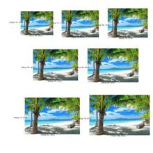 Fondo de fotografía de playa con cielo azul y nubes blancas y árboles de coco para decoración de fiesta de verano, fotos de bodas de verano en la playa, tomas de retrato de pareja y familia en el estudio - Rosa - Ver 3