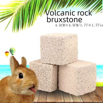 Pet Teeth Grinding Stone For Hamsters, Rabbits, Guinea Pigs, Bears, Etc., Large Square Shaped Lava Mineral Stone, 2/3pcs