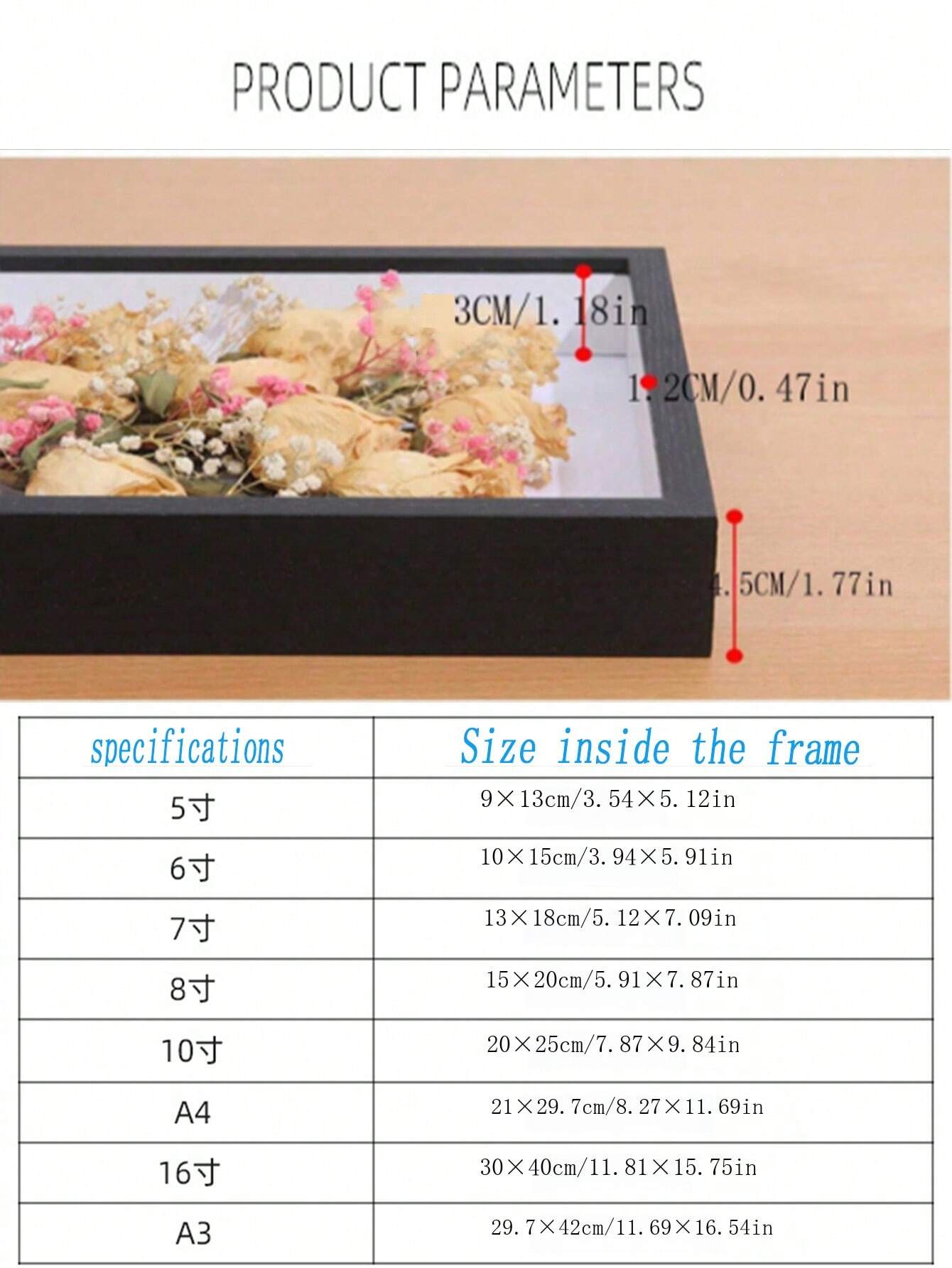 Shein Monitor Frame 3cm Hollow Dried Flower Frame With Shell, Insect And Plant Specimen ...