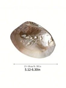 1pc Antique Natural Seashell Tray, Shell Jewelry Display Stand, Storage Plate Craft Tools, Suitable For Home Living Room Office Decor, Home Decoration Ornaments, Ideal Gifts For Valentine's Day, Easter, And Mother's Day Birthday Plates Kitchen Accessories Kitchen Decor Trays Fruit Tray Tray Decor Graduation - Multicolor - View 9