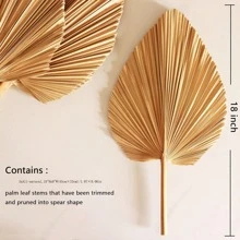 1/3/5 piezas Hojas de palma secas grandes, naturales y recortadas, hojas de palma tropical, abanicos, decoración de boda bohemia, fiesta hawaiana de Luau, decoración de cocina, flores secas, decoración de Pampas Grass, San Valentín, regalo, decoración de otoño, otoño, plantas falsas