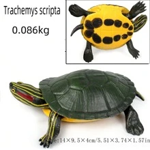 逼真可爱的红耳龟模型，儿童塑料爬行动物玩具，漂浮沐浴玩具，儿童生日礼物，教育认知模型