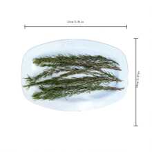 1 包（90 克）天然干迷迭香树枝和叶子，整茎布置，香味装饰，适用于西式/中式菜肴、面包店、芳香疗法、摄影道具，无需明火
