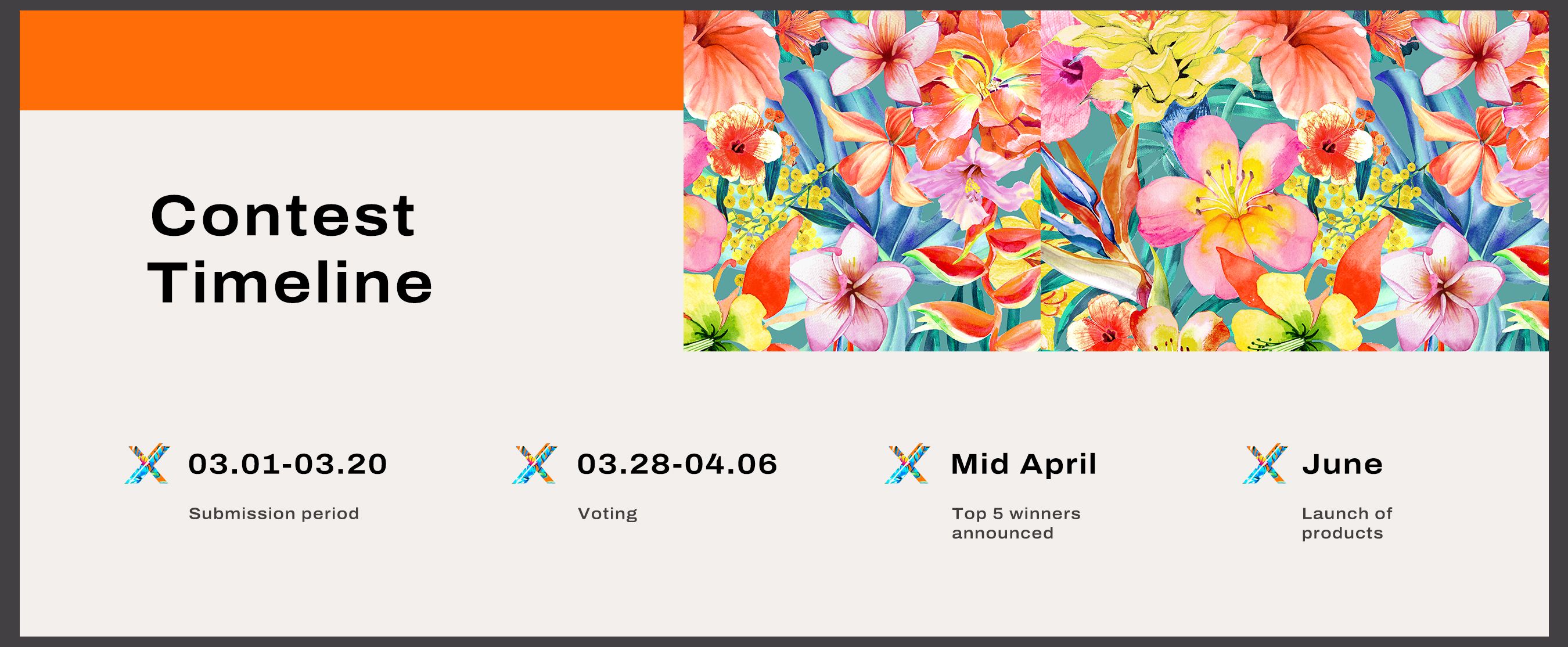 SHEIN X Artist Contest