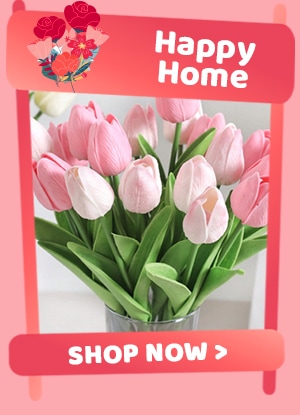 Happy Home sc 0294618173