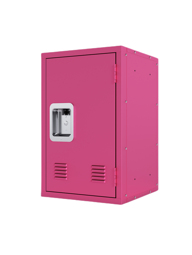 Basics Steel Home Security Safe with Programmable Keypad Lock Secure Documents Jewelry Valuables Rose Pink  p 18315752