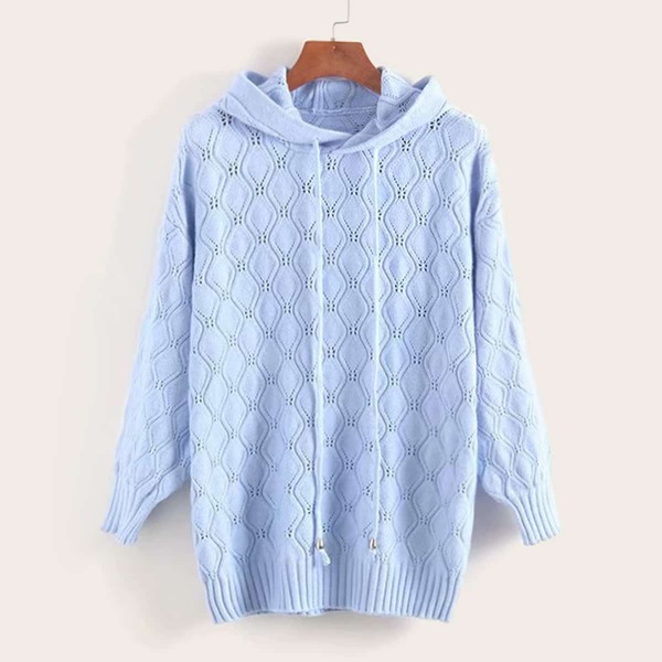 

Pointelle Knit Drawstring Hooded Longline Sweater, Blue