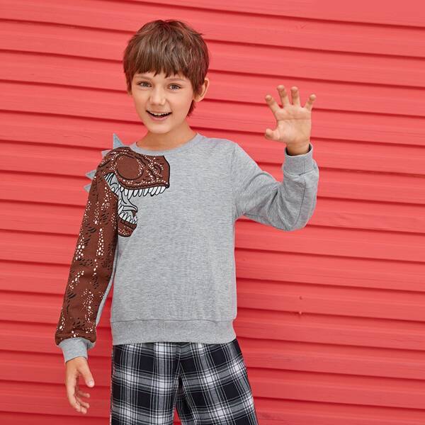 

Boys Triangle Trim Dinosaur Print Pullover, Grey