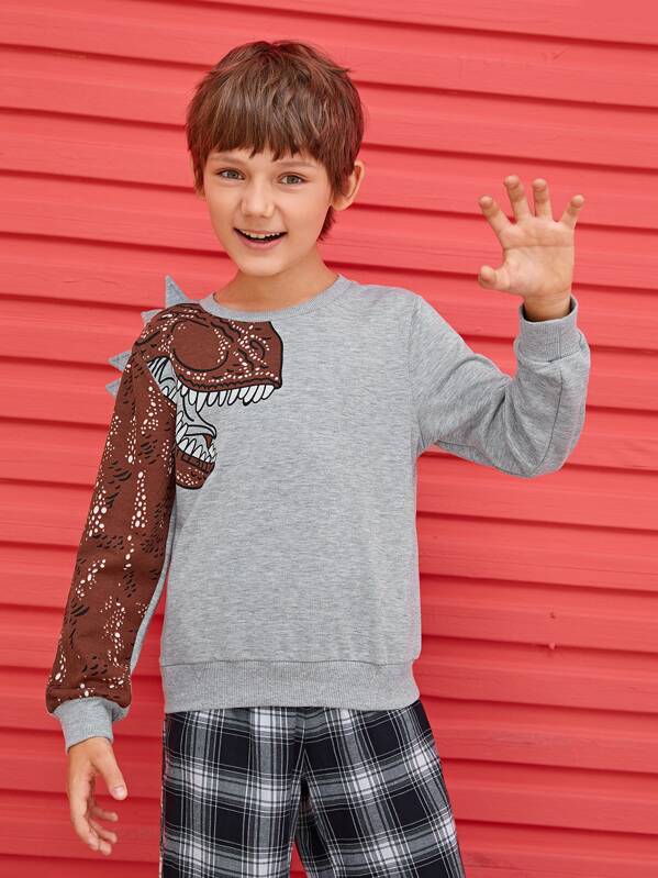 

Boys Triangle Trim Dinosaur Print Pullover, Grey, Bogdan