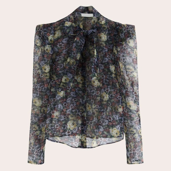 

Floral Print Tie Neck Sheer Organza Blouse, Multicolor